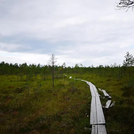Rattle Nest Chalet Loimaa