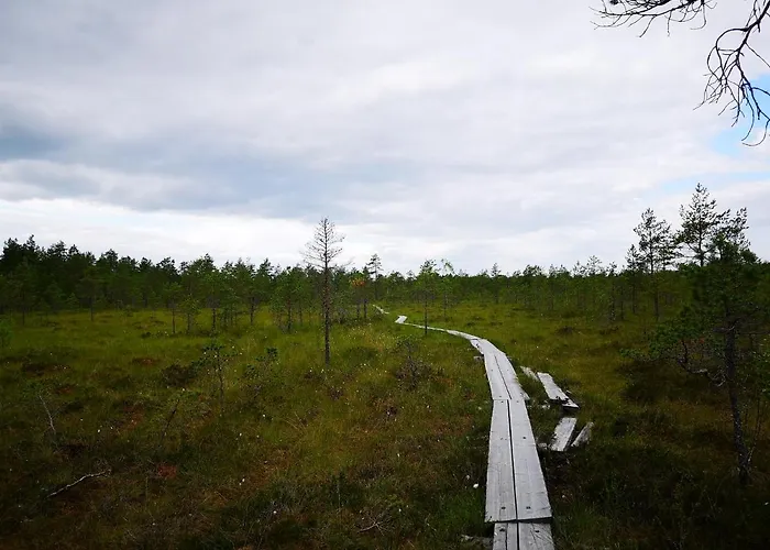 Rattle Nest شاليه Loimaa